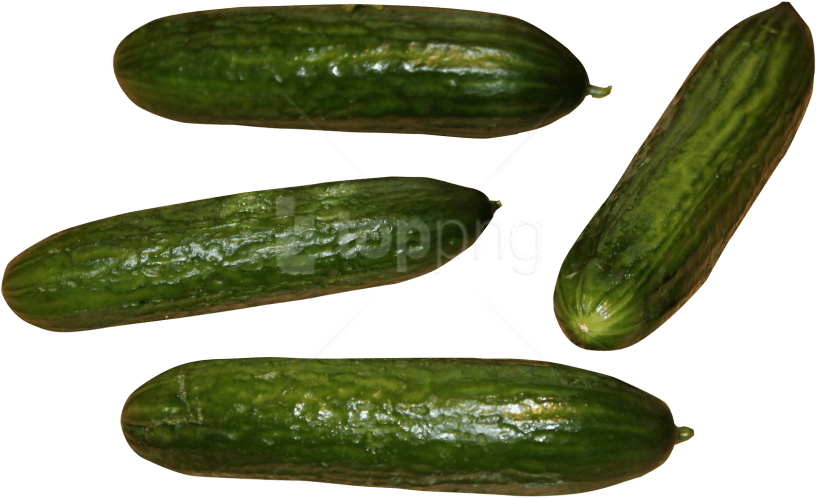 Free Png Cucumber Png Images Transparent - Cucumber (850x554), Png Download