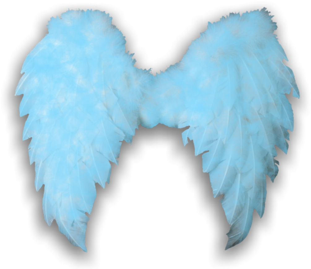 #angelwings #angels #angel #wings #feathers #fly #costume - Graphic Design (1024x872), Png Download