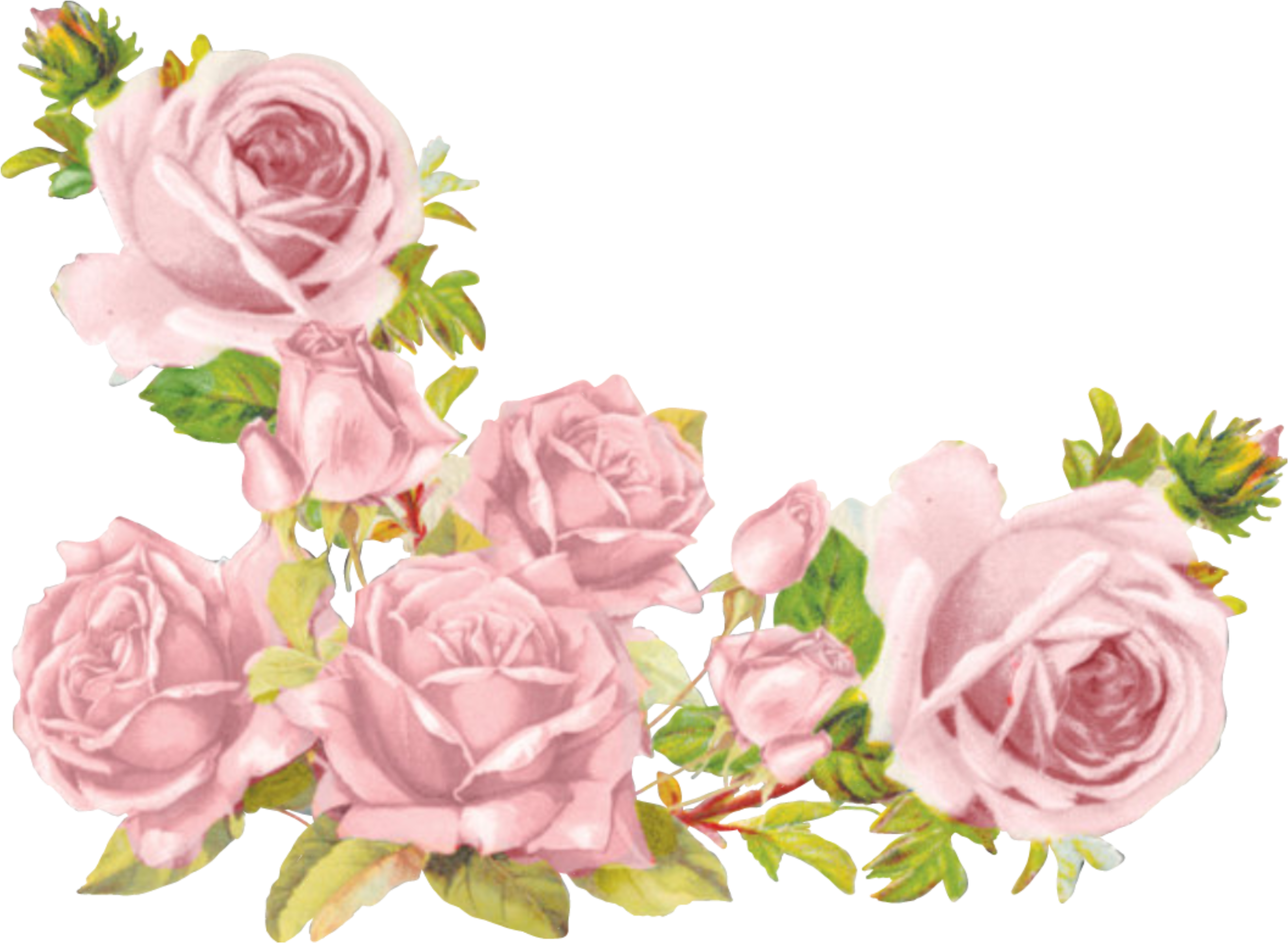 Flowers Stickers Transparent Aesthetic Cute Filter Full Size Png Download Seekpng