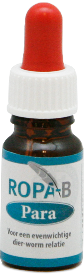 Global Pigeon Supplies - Glass Bottle (1500x1500), Png Download