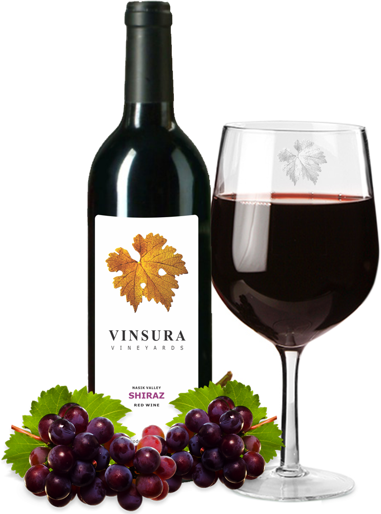 At Present There Are More Than 30,000 Hectares Of Land - Wine Glass (800x1000), Png Download