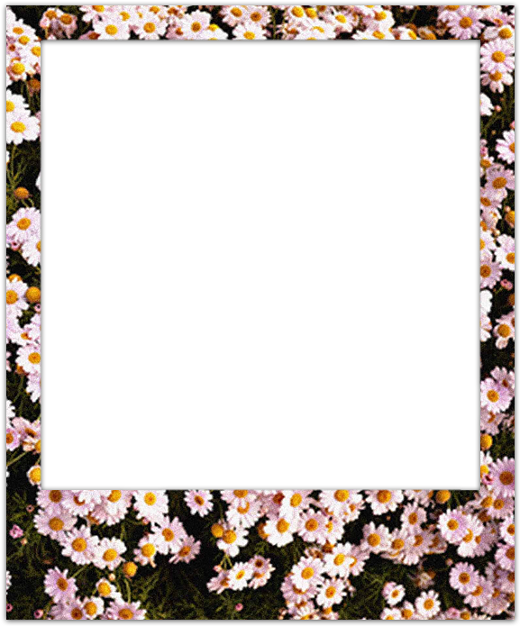 A Blog Of A Portuguese Art Student - Polaroid Frame Cute (800x800), Png Download
