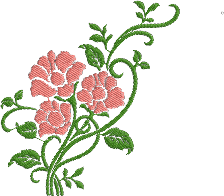 Pink And Black Vines (800x800), Png Download