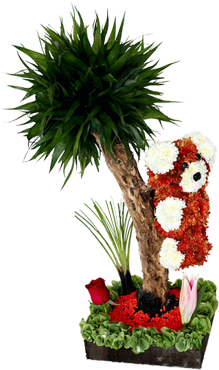 Osito De Flores - Bouquet (850x567), Png Download