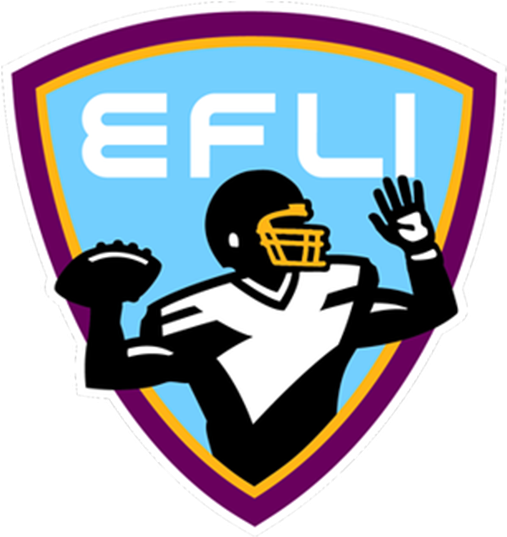 Since Then, It Has Grown From Eight To More Than 22 - Elite Football League Of India (1024x576), Png Download