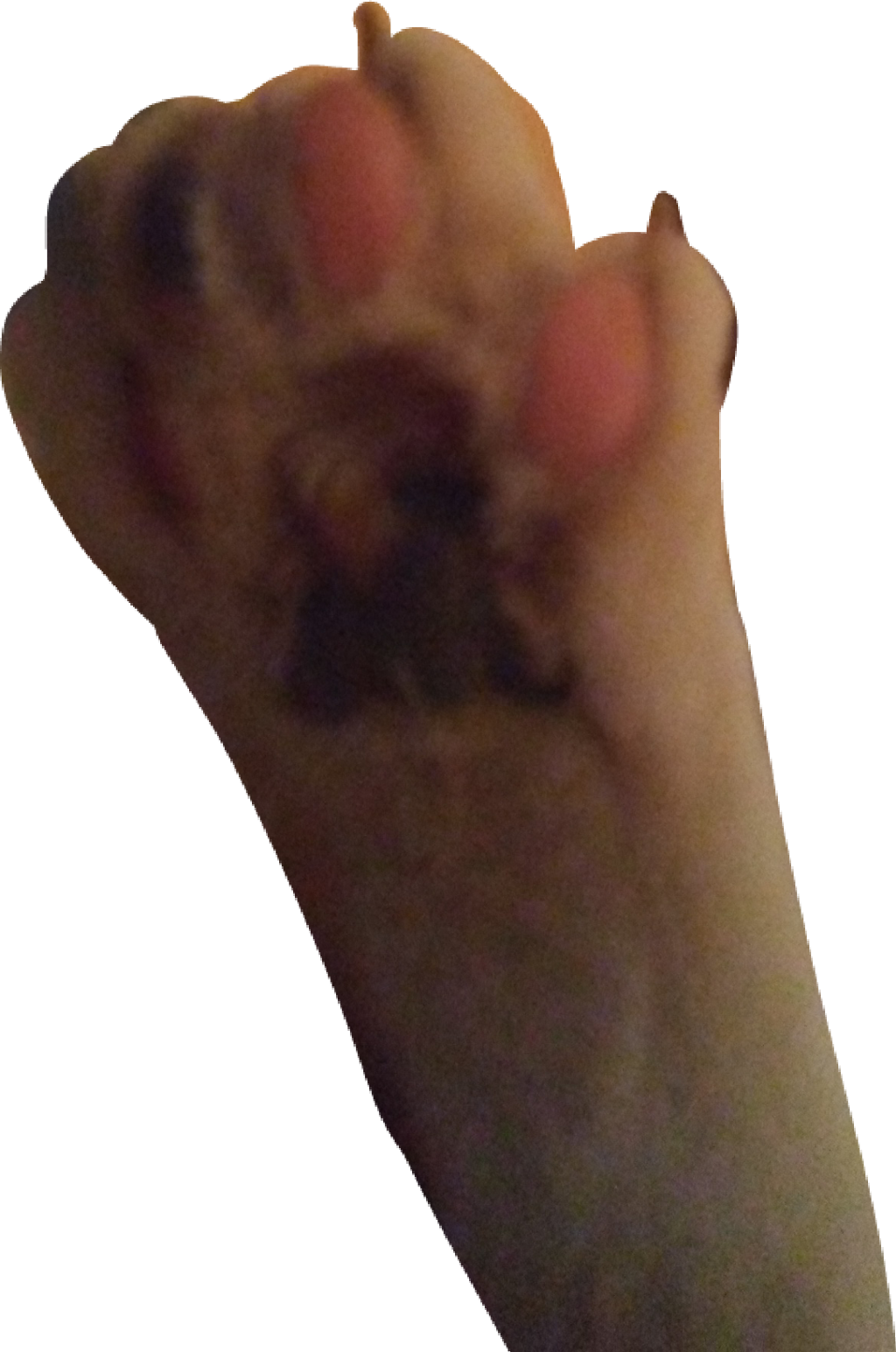 #tabby #cat #kitty #toes #claws #paw Pads #paws # - Habanero Chili (1024x1545), Png Download