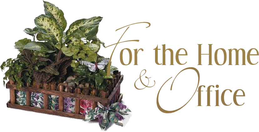 Dish Garden Designs (877x443), Png Download