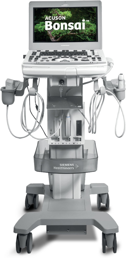 Siemens Acuson Bonsai Image - Flat Panel Display (800x1080), Png Download
