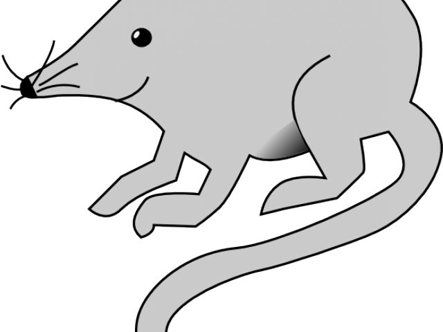 Fun Rats - Hickory Dickory Dock Mouse (640x480), Png Download