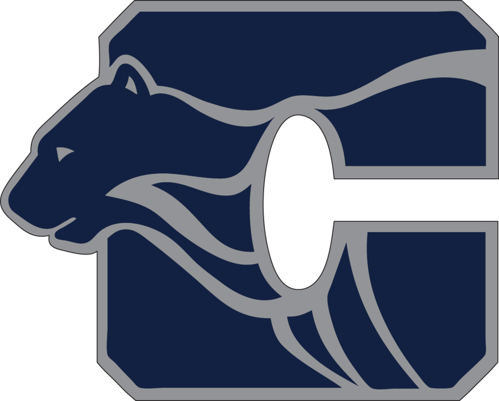 Century Hich School Senior Party - Rochester Minnesota Century High School (1000x805), Png Download