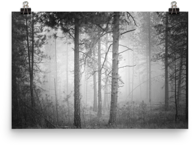 Picture Frame (600x600), Png Download