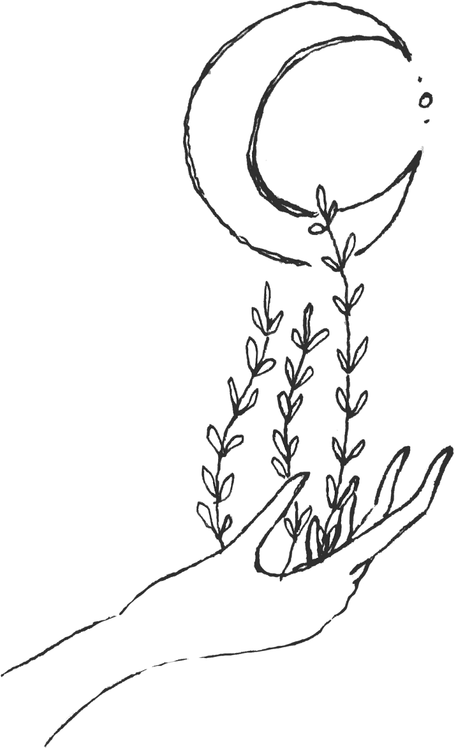 Books & Plants - Line Art (1600x1600), Png Download