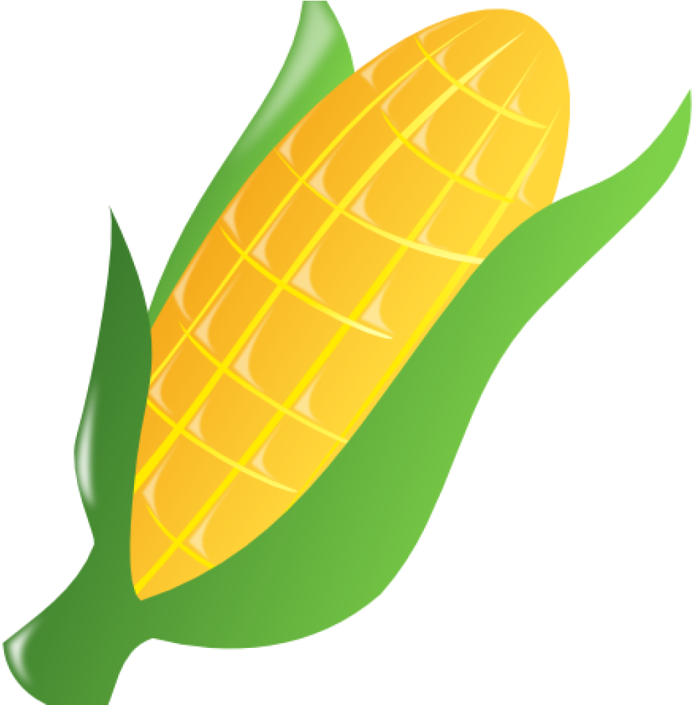 Corn Clipart Clip Art - Corn Clip Art (1007x1025), Png Download