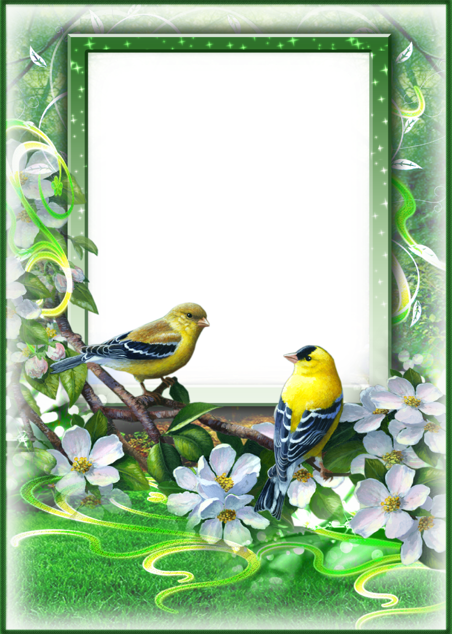 Green Spring Photo Frame With Birds - Birds Borders And Frames (914x1280), Png Download
