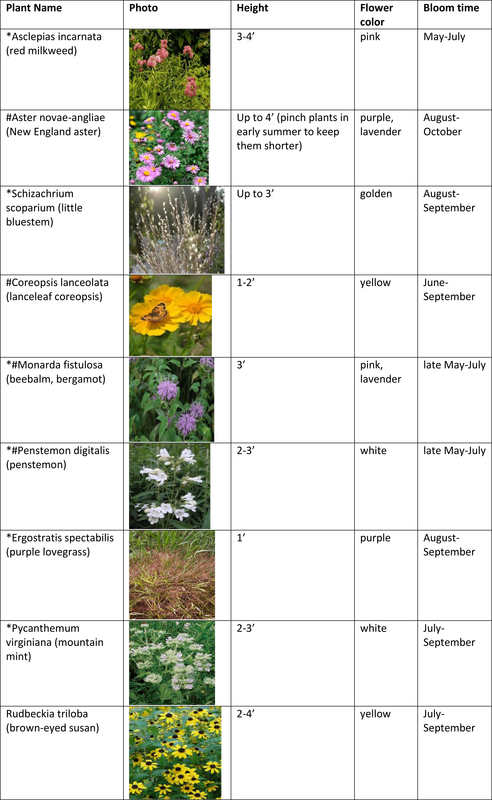 Picture - Grass (492x800), Png Download