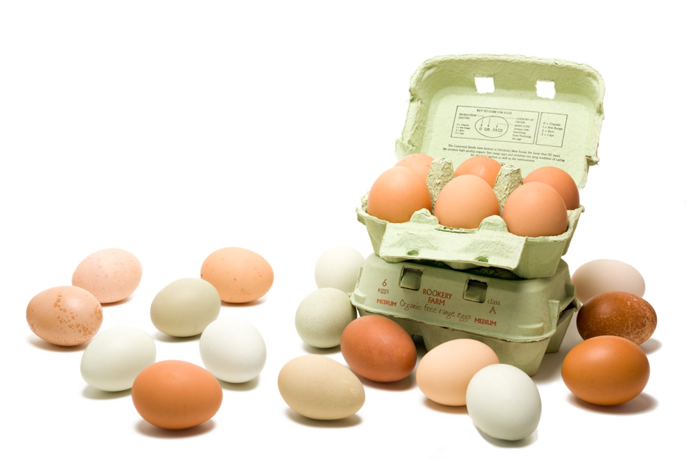 Rookeryeggs Header Transparency - Egg (1000x670), Png Download