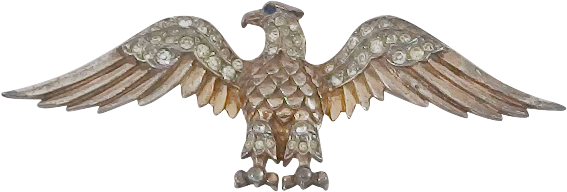 Osprey (1929x1929), Png Download