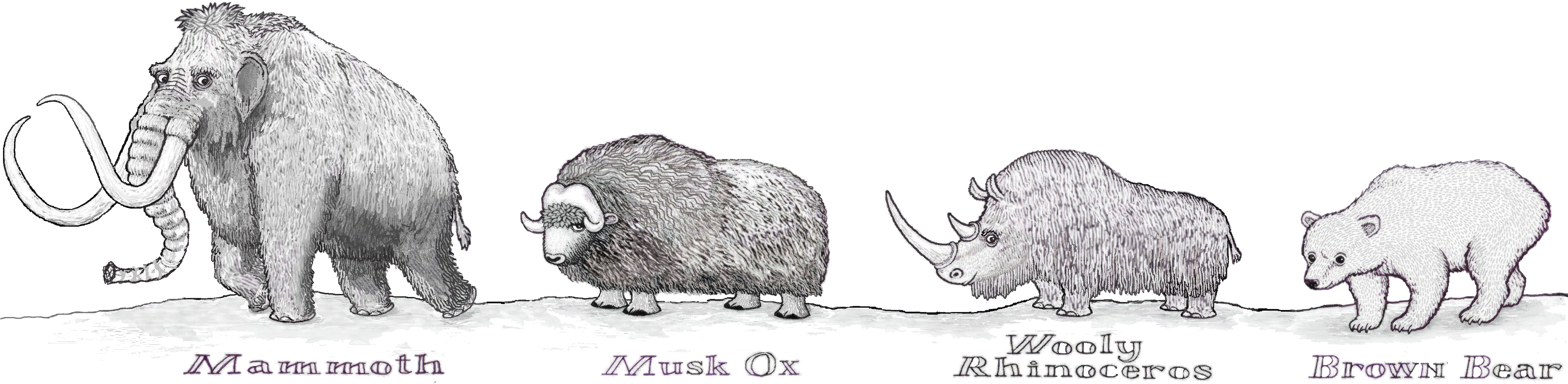 Uk Ice Age Animals (4683x1228), Png Download