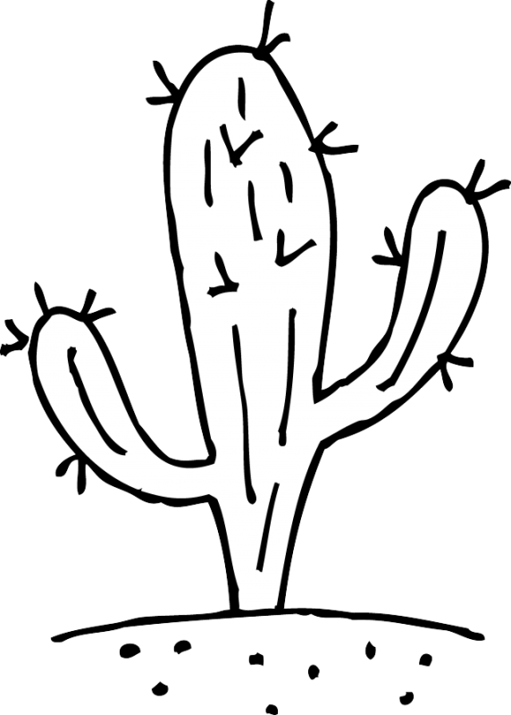 Cactus Transparent Artistic - Cactus Black And White Clip Art (572x800), Png Download