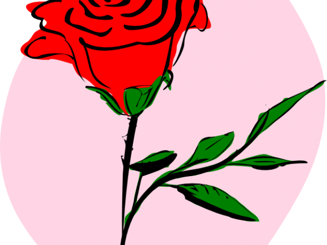 Rose Images Clipart - Mawar (640x480), Png Download