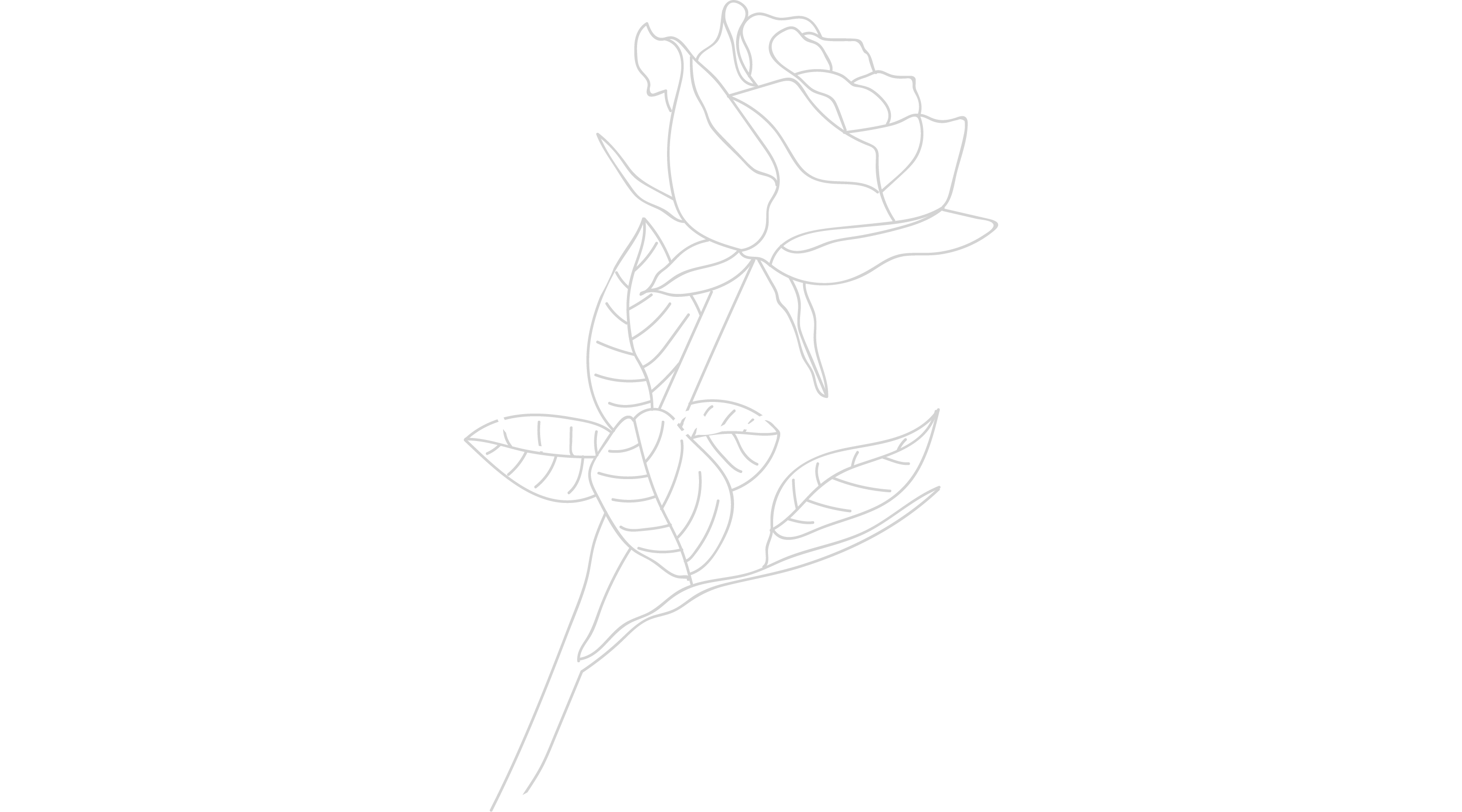 About - Sketch (2880x1600), Png Download