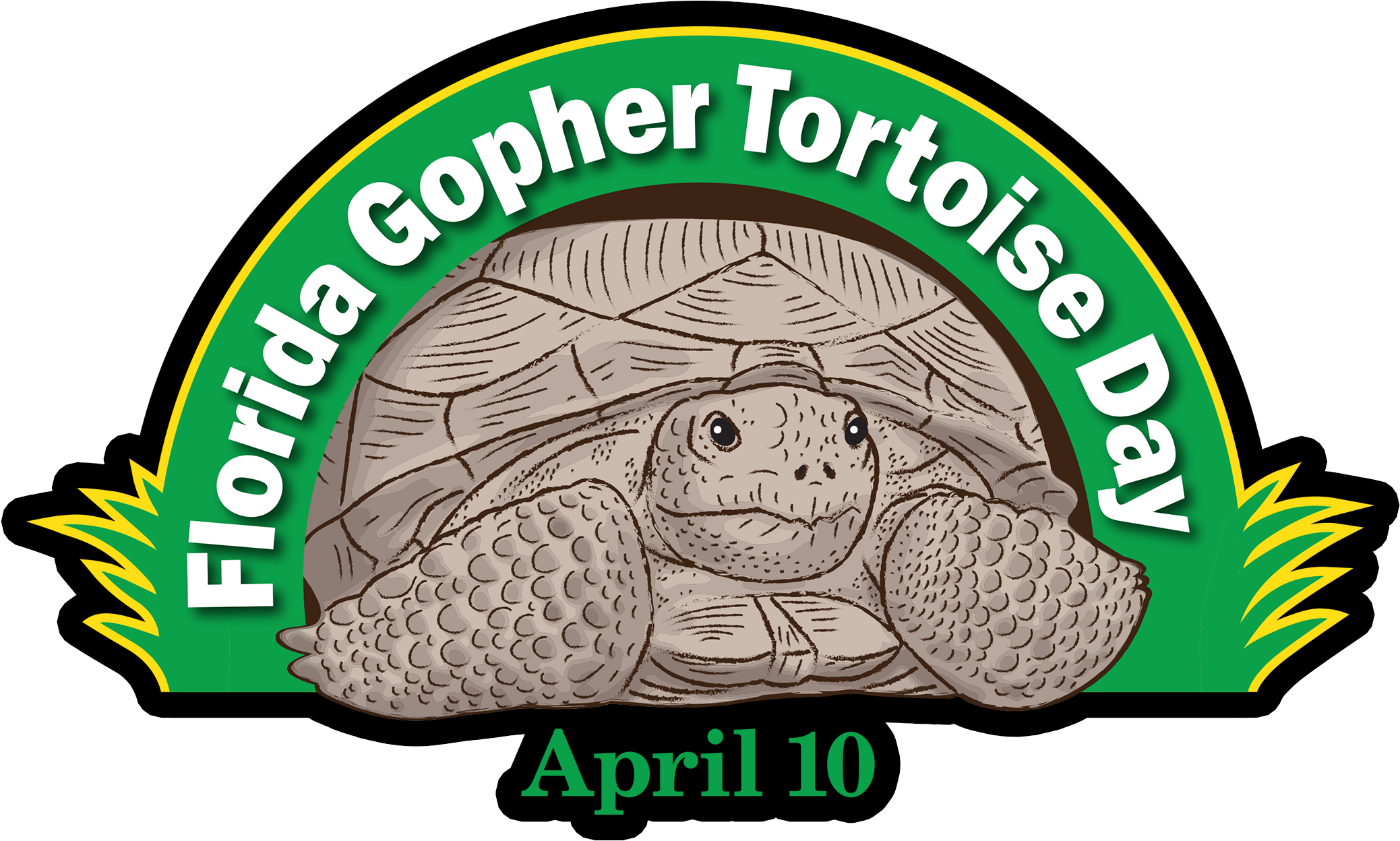 Gopher Tortoise Day (2088x1440), Png Download