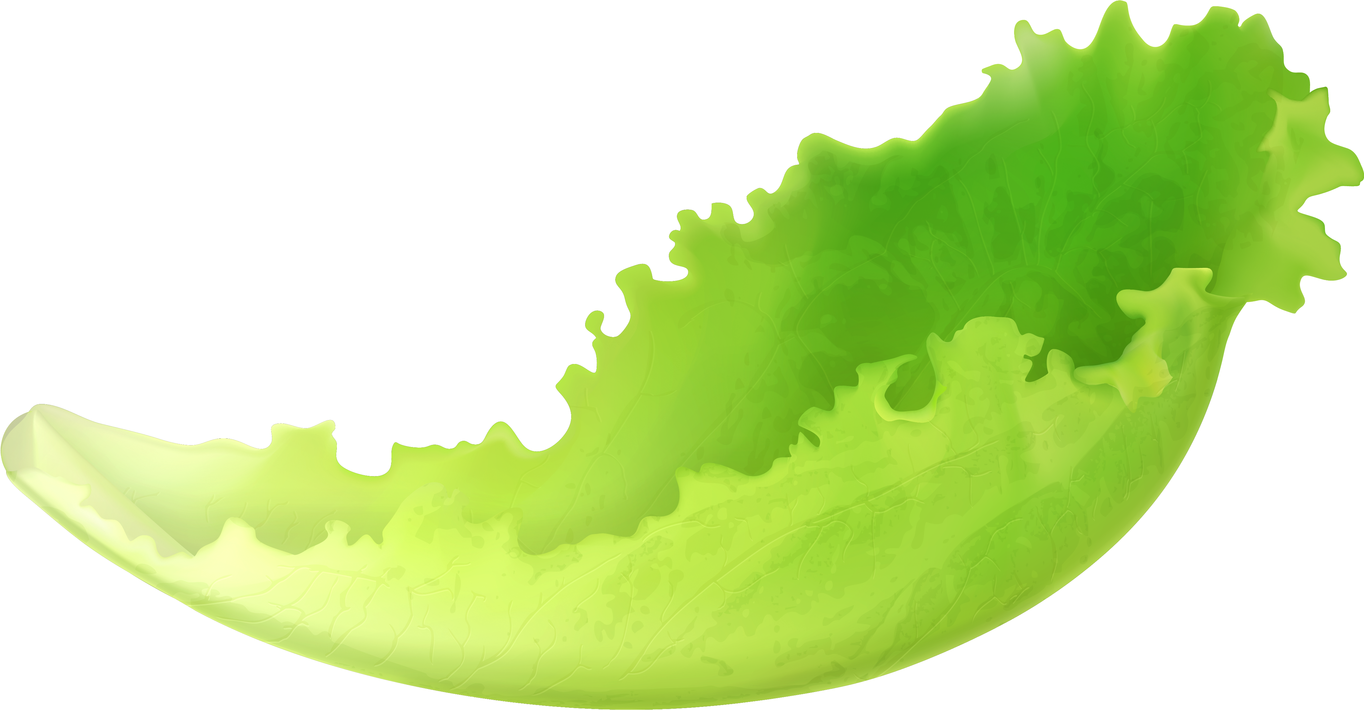 Lettuce Clipart Transparent Background (4590x2572), Png Download