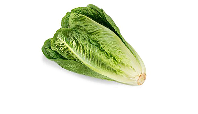 Romaine Lettuce Png Download Image - Romaine Lettuce E Coli Outbreak (673x468), Png Download