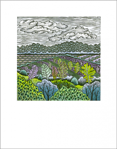 Metta Lettuce Art Print - Lettuce Art Print (800x600), Png Download