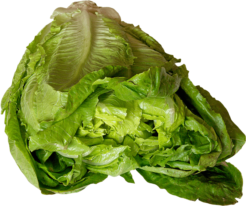 Free Png Lettuce Png Images Transparent - Lettuce (850x713), Png Download