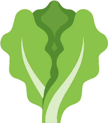 Lettuce Icon (500x500), Png Download