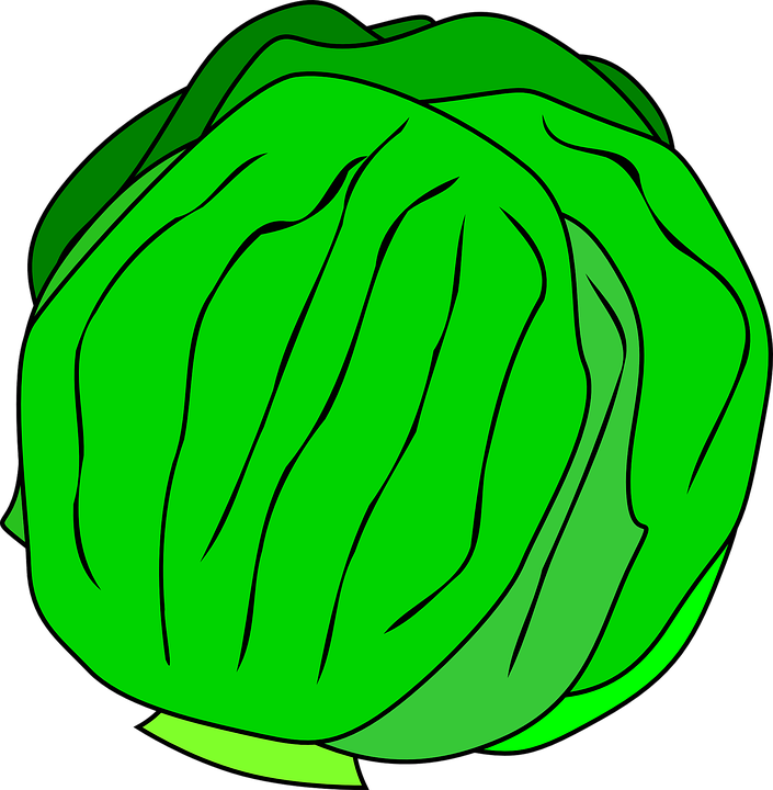 Animated Vegetables Cliparts Shop Of Library Buy - Lettuce Clipart (705x720), Png Download