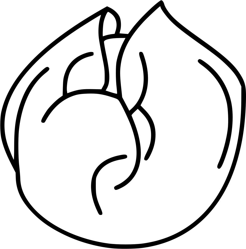 Png File Svg - Vegetable (981x994), Png Download