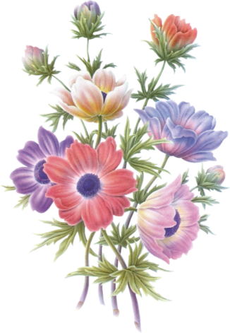 Fl-103 - Flor Feliz Dia Da Mae (326x471), Png Download