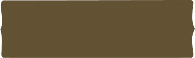 History Content Bg - Wood (673x202), Png Download