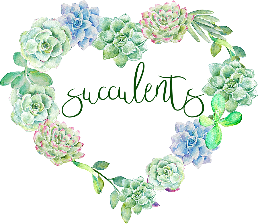 Image Transparent Library Invitation Paper Plant Watercolor - Succulents Watercolor Wreath Png Transparent (900x783), Png Download