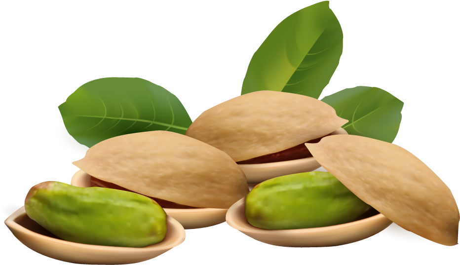 Nut Clipart Pistachio Nut Cute Borders - Pistachio Clipart (931x578), Png Download