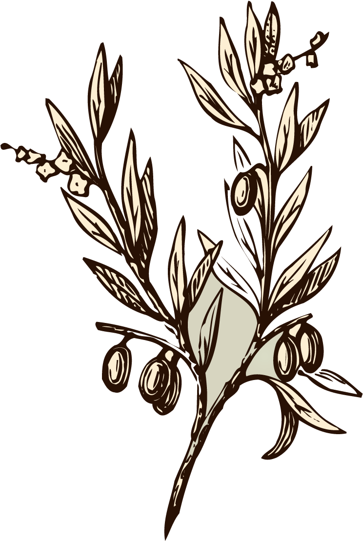 Vector Transparent Branch Transparent Almond - Lene Bjerre Adria Mug 45 Cl. (804x1136), Png Download