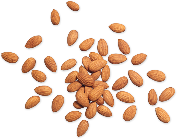 Nuts Top View Png (768x565), Png Download