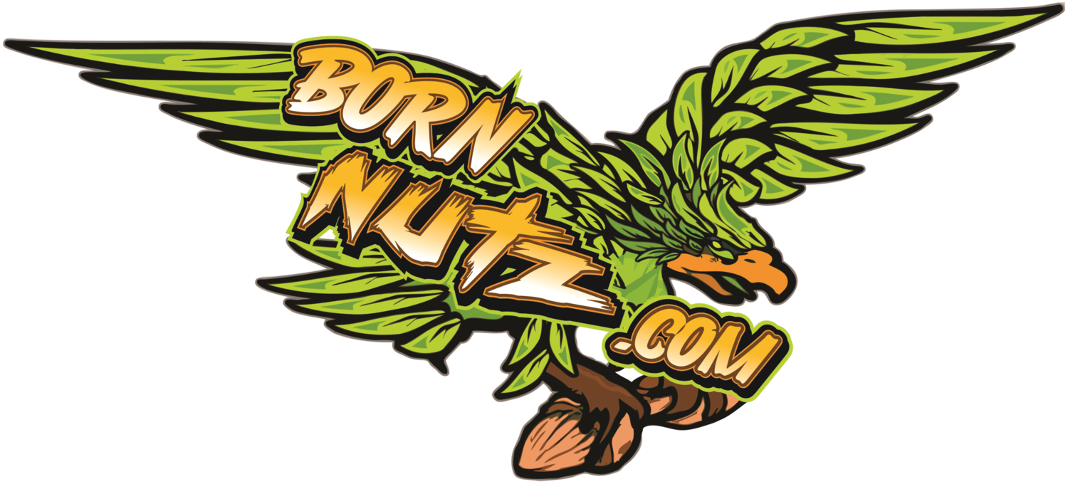 Pumpkin Spice Almonds, 10oz Born Nutz Nut Company Svg - Nut (1500x680), Png Download