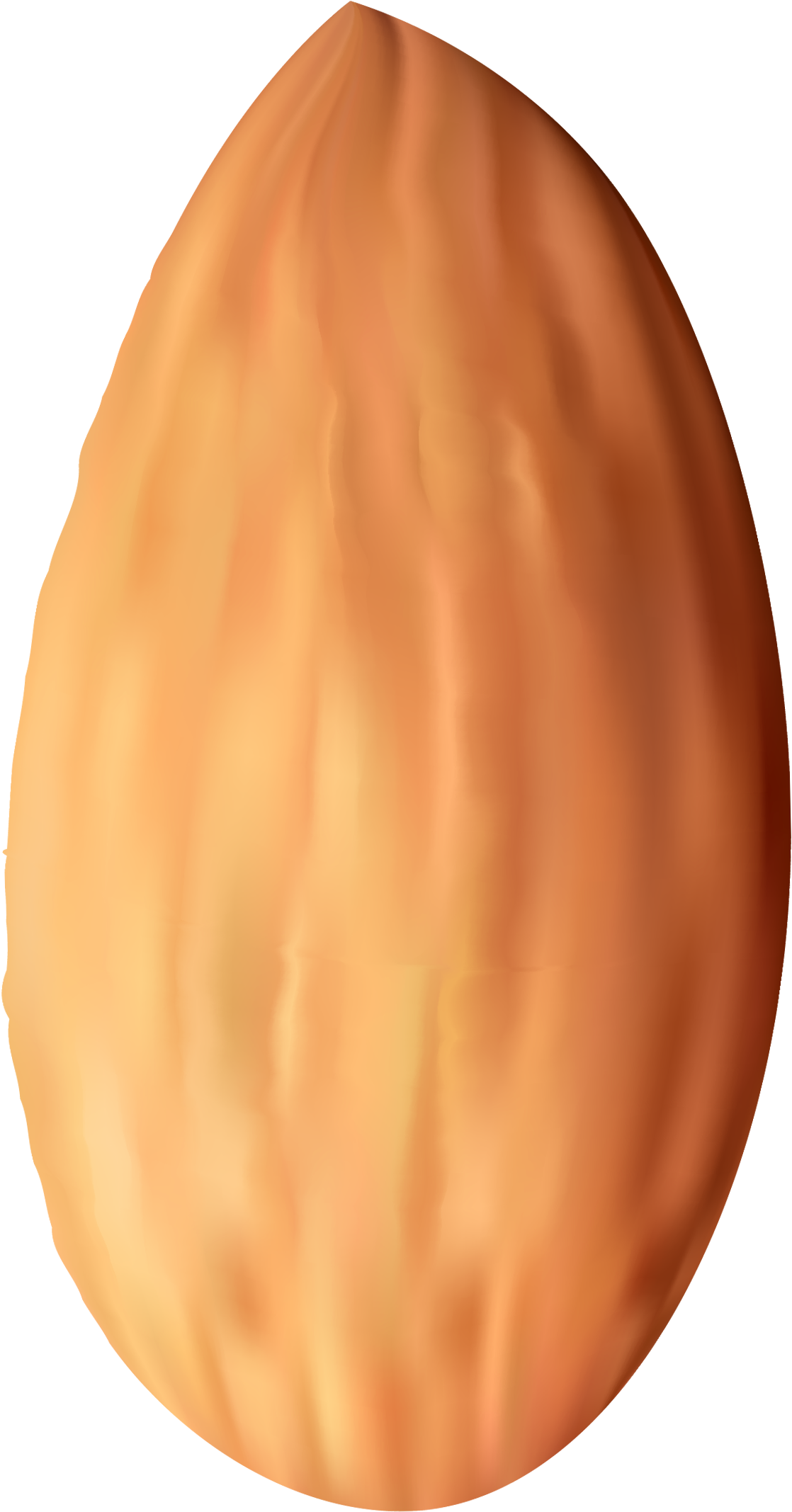 Nuts Transparent Almond - Almond Clipart Png (1241x2264), Png Download