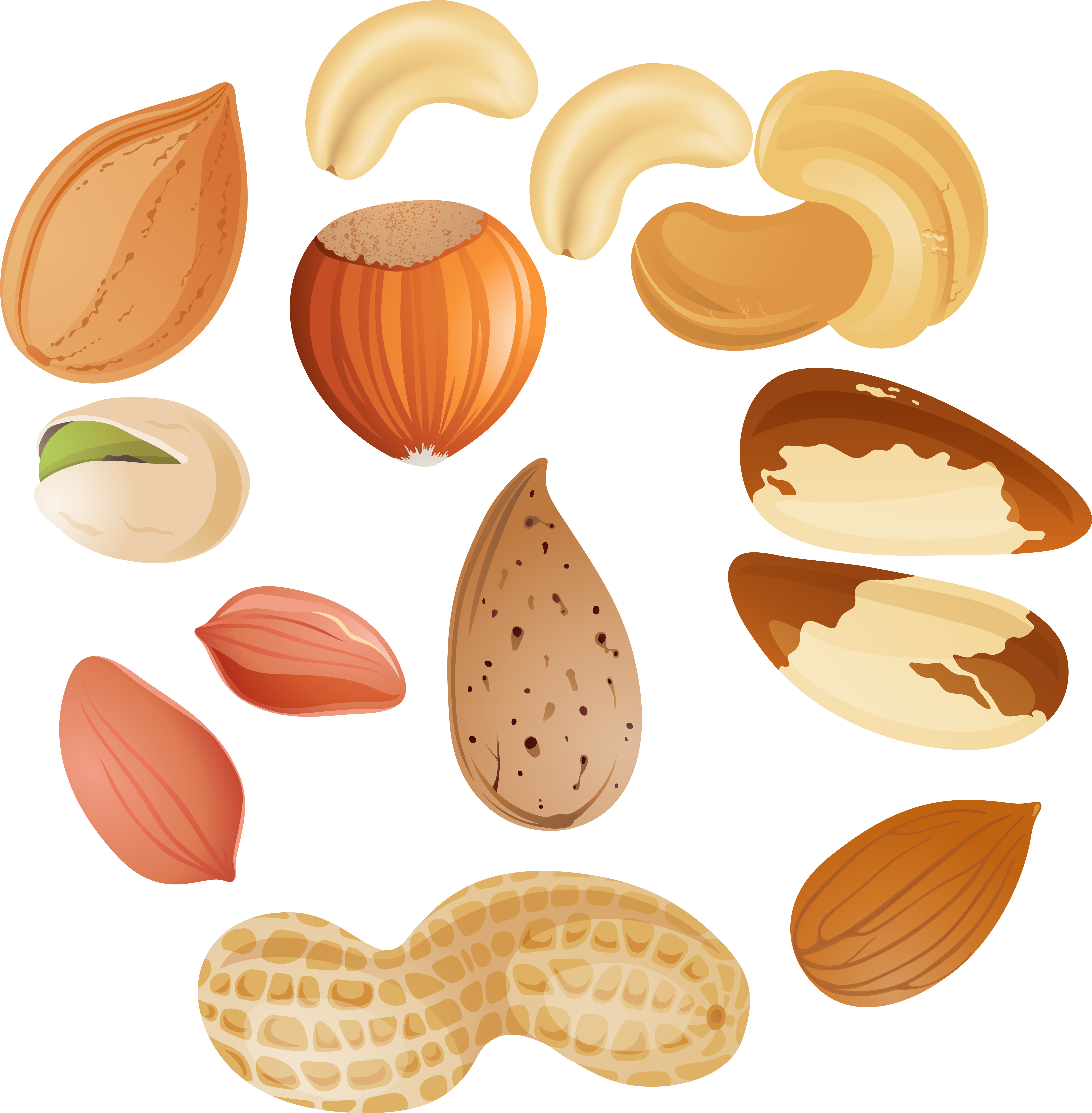 Nuts Png Clipar Image - Nuts Clip Art (5409x5572), Png Download