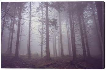 Fog In The Haunted Forest In Summer Canvas Print • - Fog (400x400), Png Download