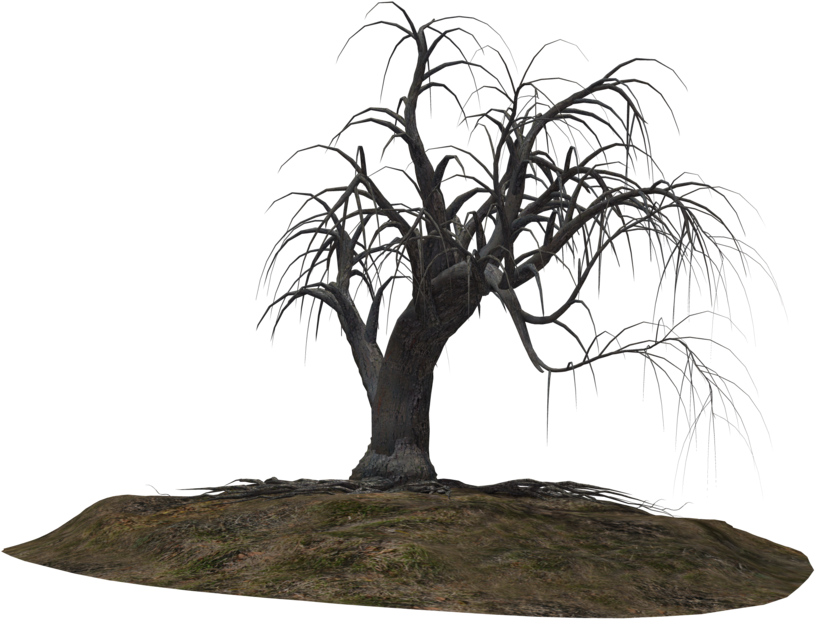 Creepy Tree 21 By Wolverine041269 On Clipart Library - Clip Art (1024x639), Png Download