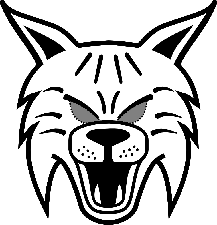 Bobcats Easy To Draw For Kids - Draw A Wildcat Face Easy (761x788), Png Download