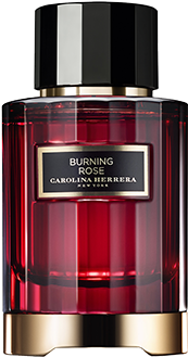 Carolina Herrera Bronze Tonka (310x440), Png Download