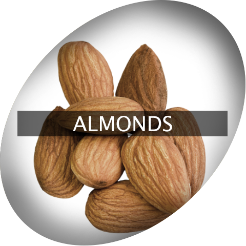 Landingimage Igrow Almonds - Almond (480x480), Png Download