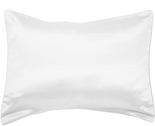 100% Mulberry Silk Contemporary Pillow Cover - Empress Silk-pure Mulberry Silk Charmeuse Pillowcase-19 (600x468), Png Download