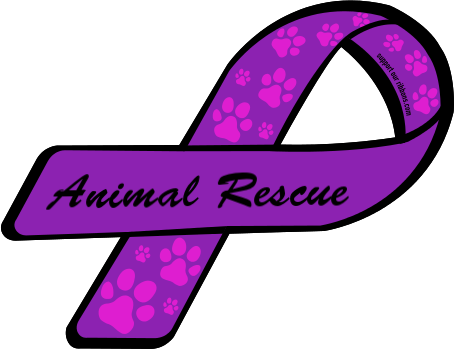 Clip Art Transparent Download Don T Little Healers - Domestic Violence No Background (455x350), Png Download