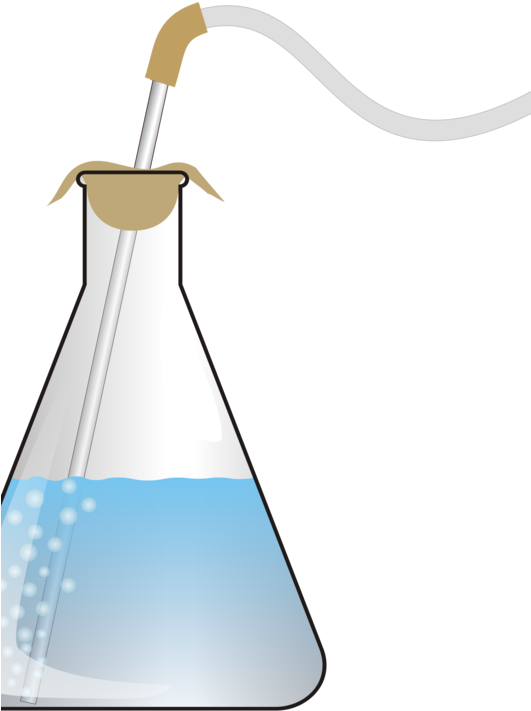 Erlenmeyer Flask Laboratory Flasks Test Tubes Chemistry - Erlenmeyer Flask (530x750), Png Download